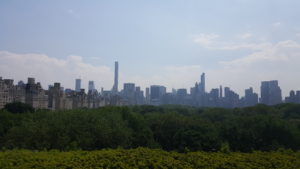 view-from-the-MET-New-York-Footprints in Culture